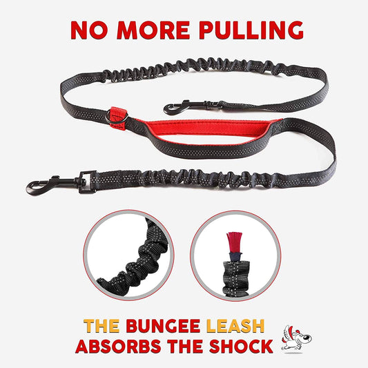 Exquisite Hands-Free Leash for Two Medium Dogs – Perfect for Active Pet Owners – Comfortable, Durable & Ideal for Running, Walking, Hiking – Premium Dual Waist Lead with Bungee – Must-Have Dog Gear