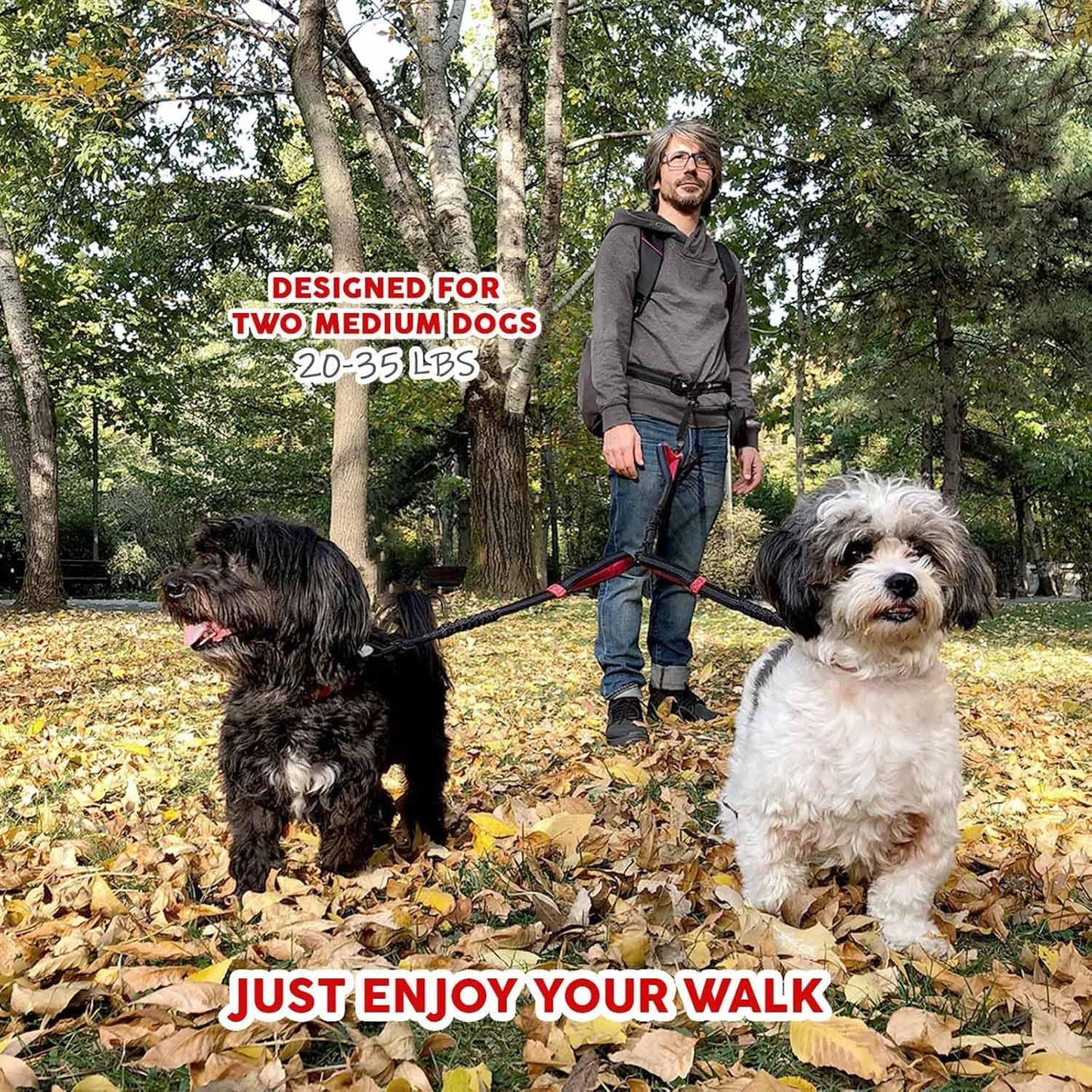 Exquisite Hands-Free Leash for Two Medium Dogs – Perfect for Active Pet Owners – Comfortable, Durable & Ideal for Running, Walking, Hiking – Premium Dual Waist Lead with Bungee – Must-Have Dog Gear