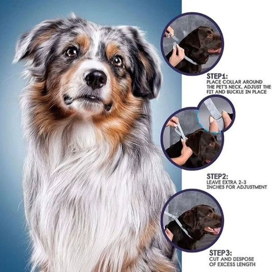 Dog anti Flea and Tick Collars,Pet 8Month Protection Adjustable Collar for Large Dog Puppy Cat, Dogs Accessories
